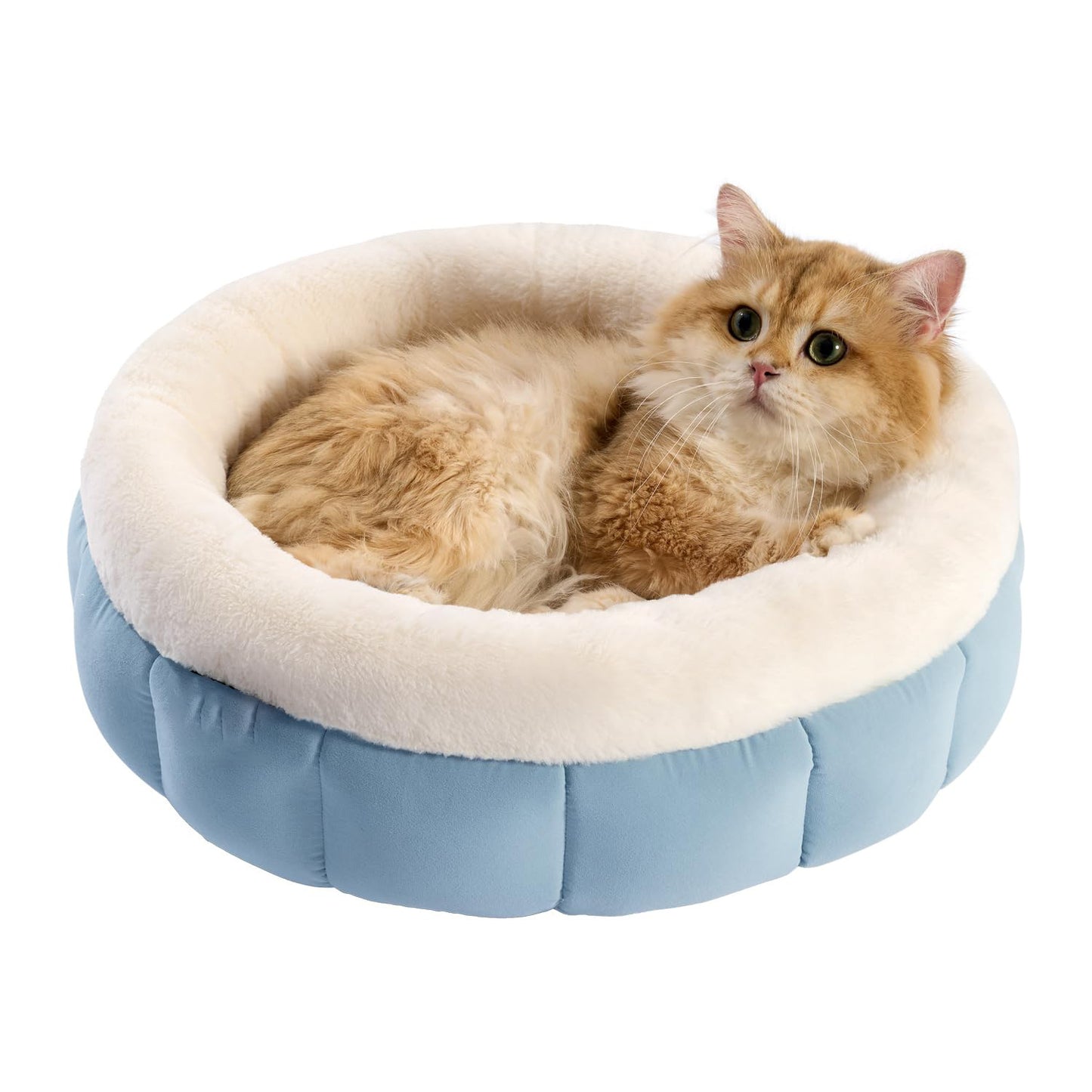 Donut Dog Beds For Small Dogs - Round Cat Beds For Indoor Cats Washable Pet Bed For Puppy And Kitten With Anti-Slip Bottom