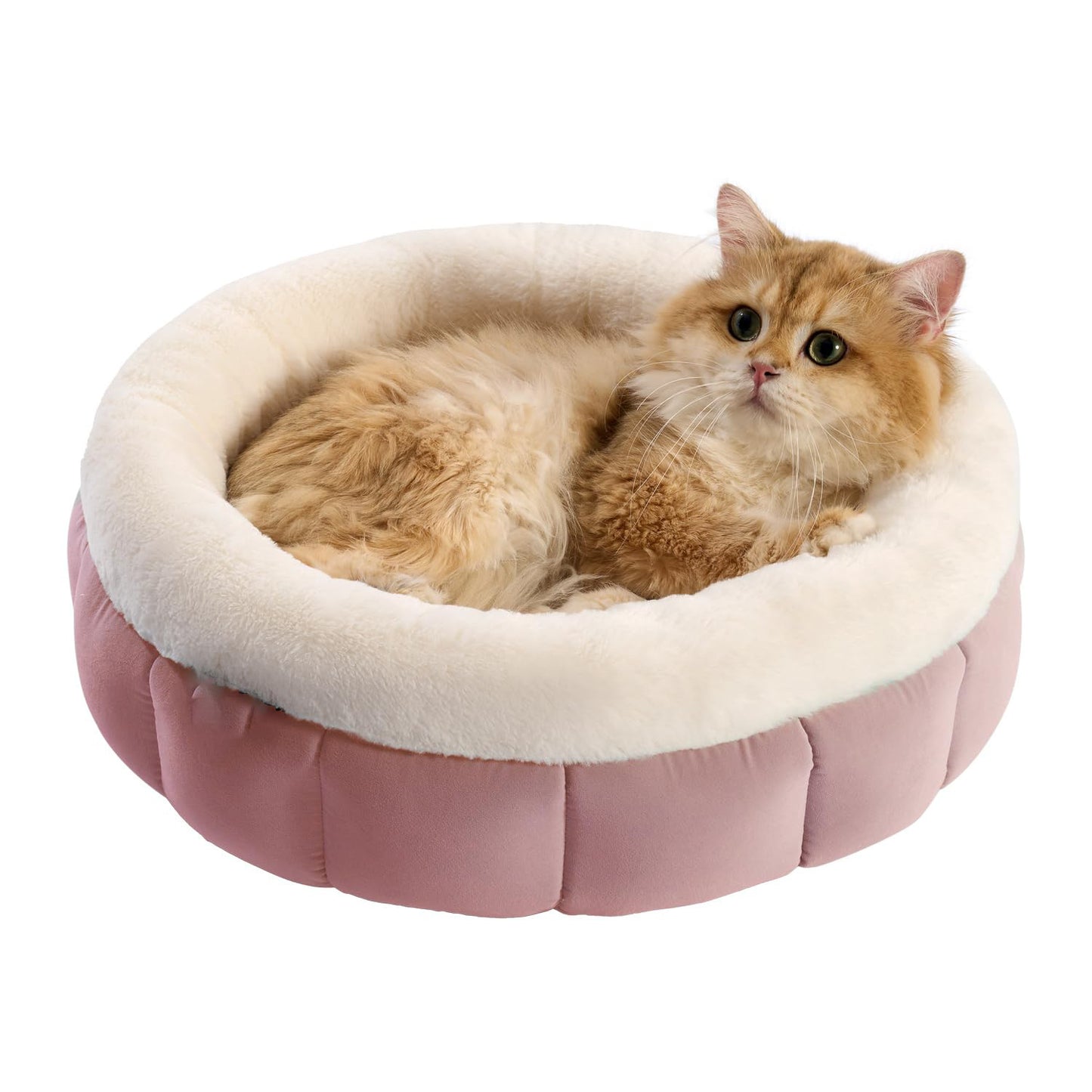 Donut Dog Beds For Small Dogs - Round Cat Beds For Indoor Cats Washable Pet Bed For Puppy And Kitten With Anti-Slip Bottom